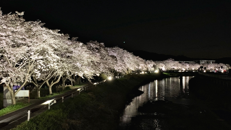 *【周辺観光】宇陀川の桜並木
