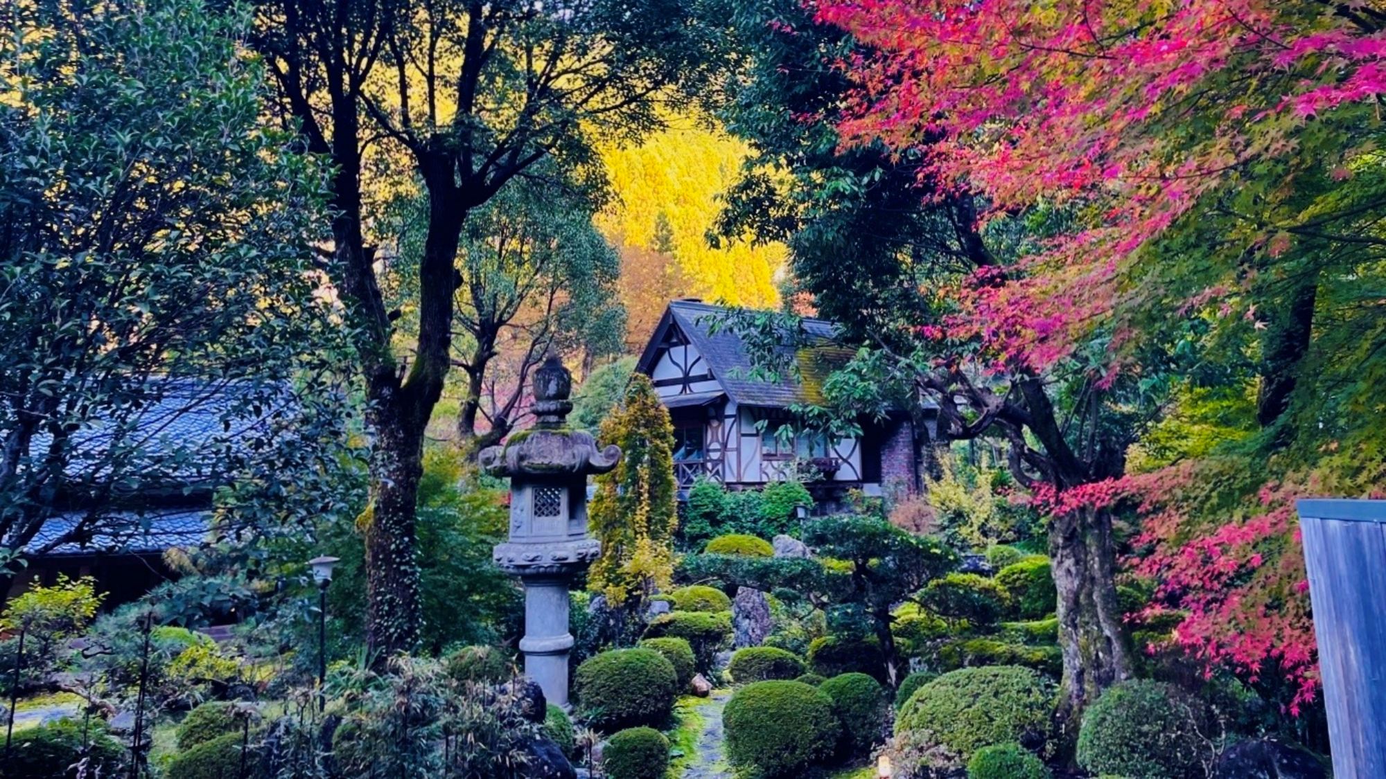 彩り映える秋の庭園美