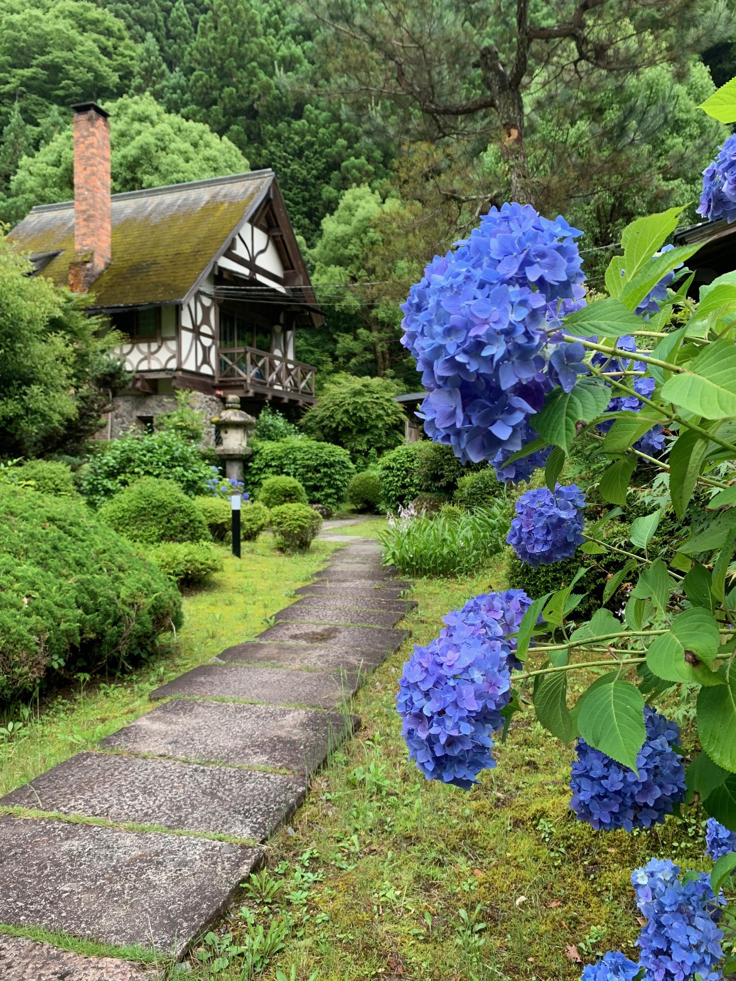 【庭園】スイス館と紫陽花