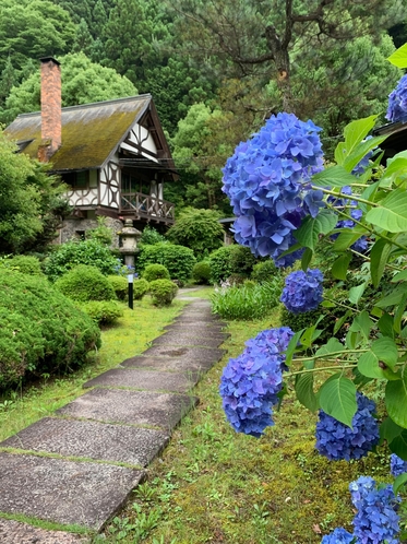 【庭園】スイス館と紫陽花