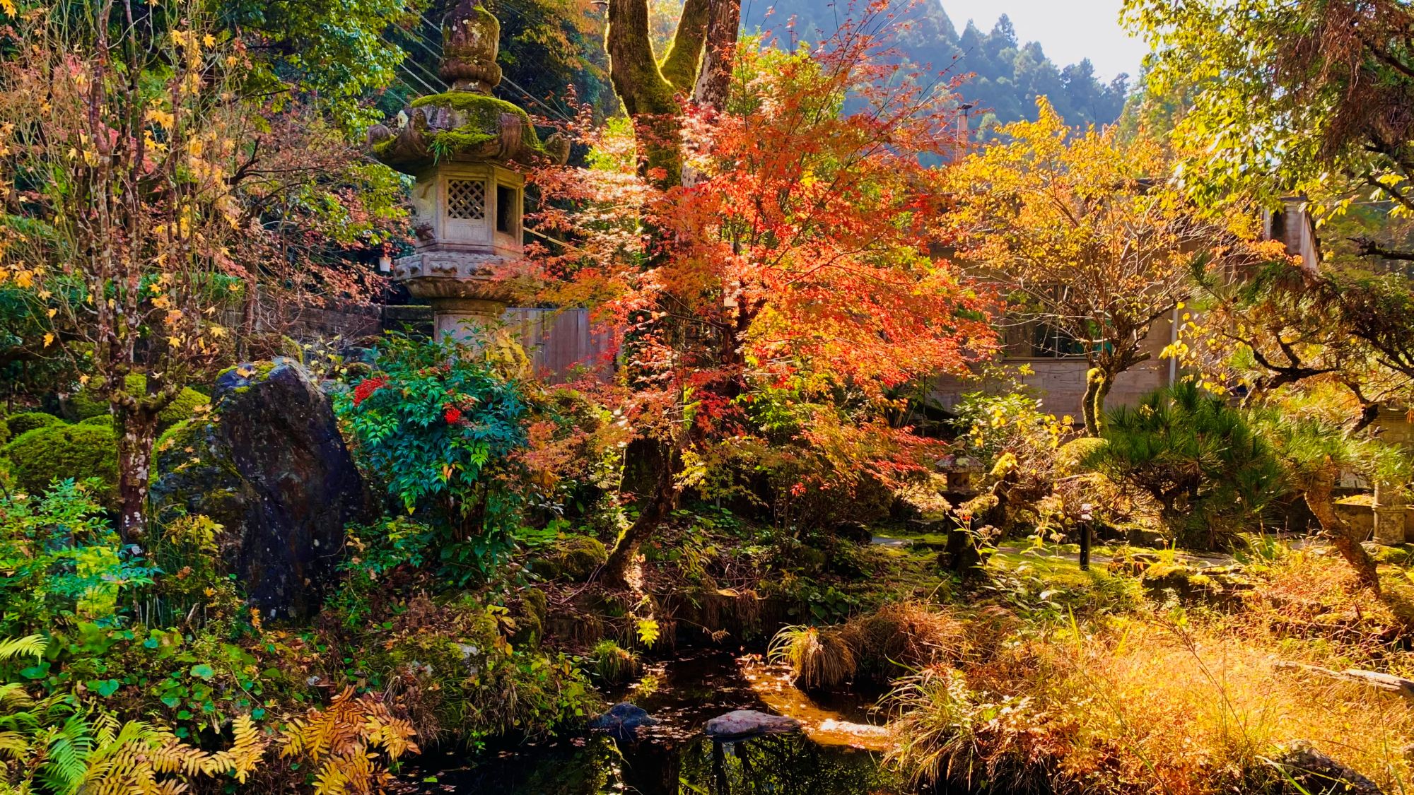 彩り映える秋の庭園美