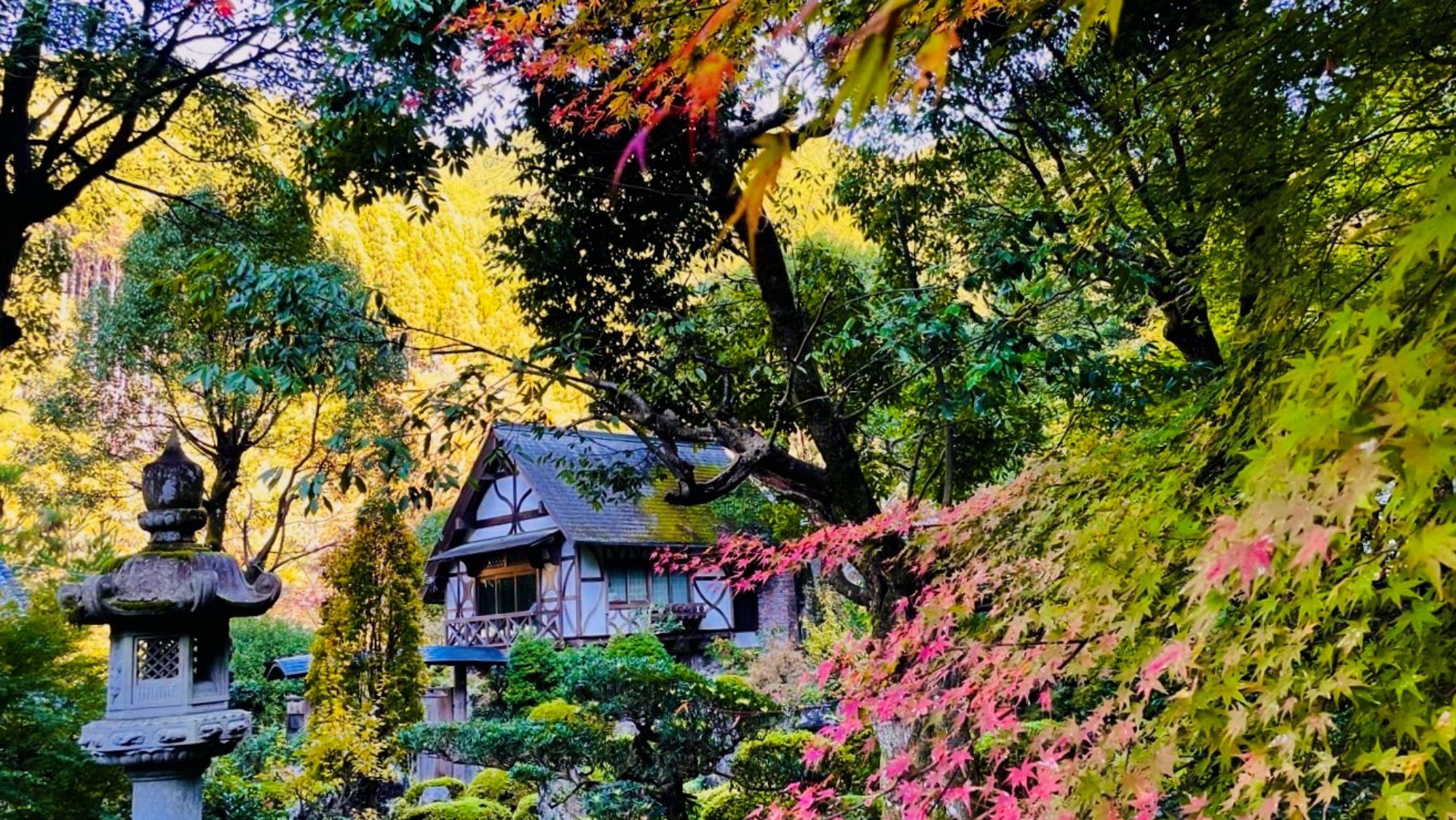 彩り映える秋の庭園美