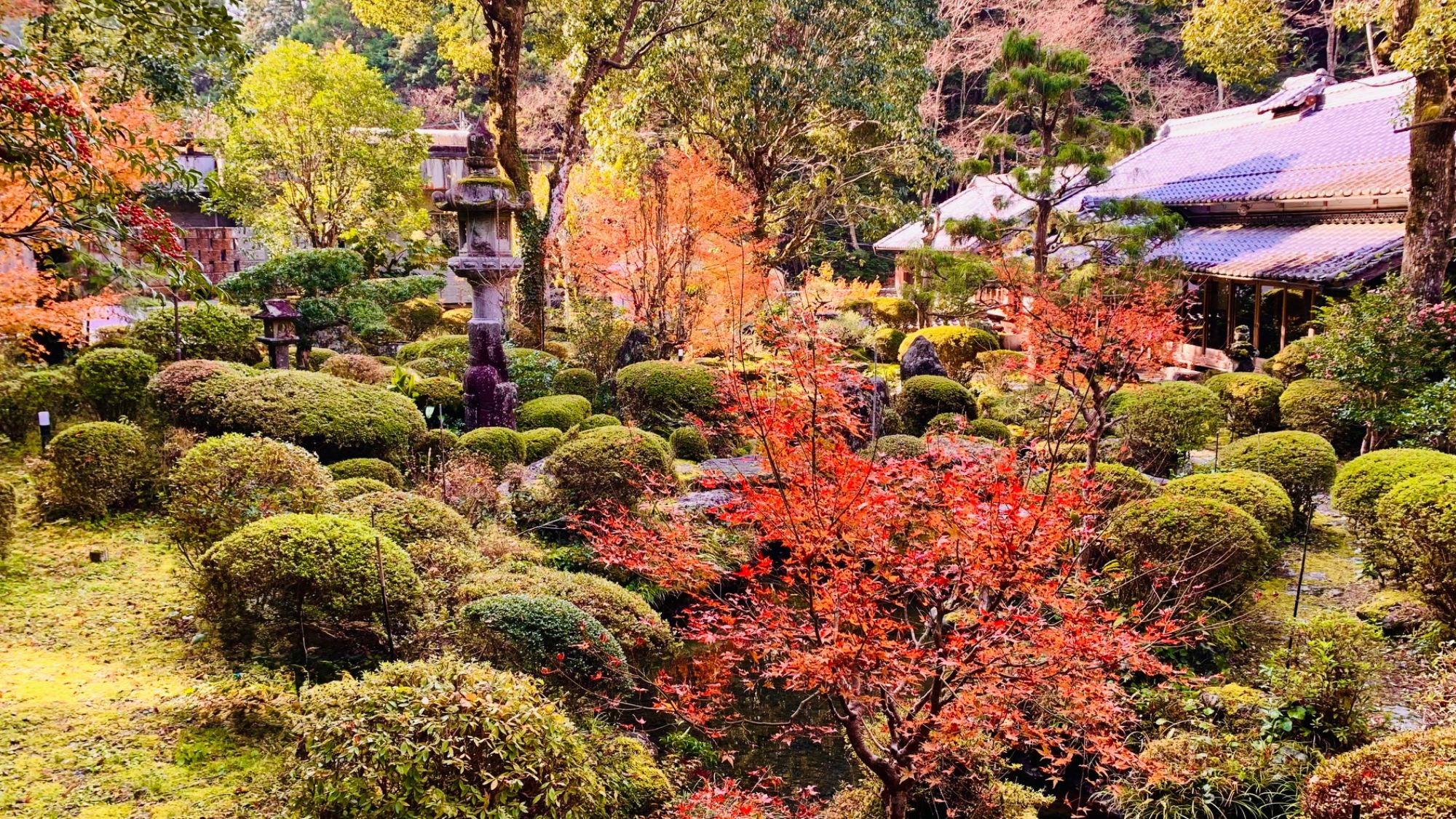 彩り映える秋の庭園美