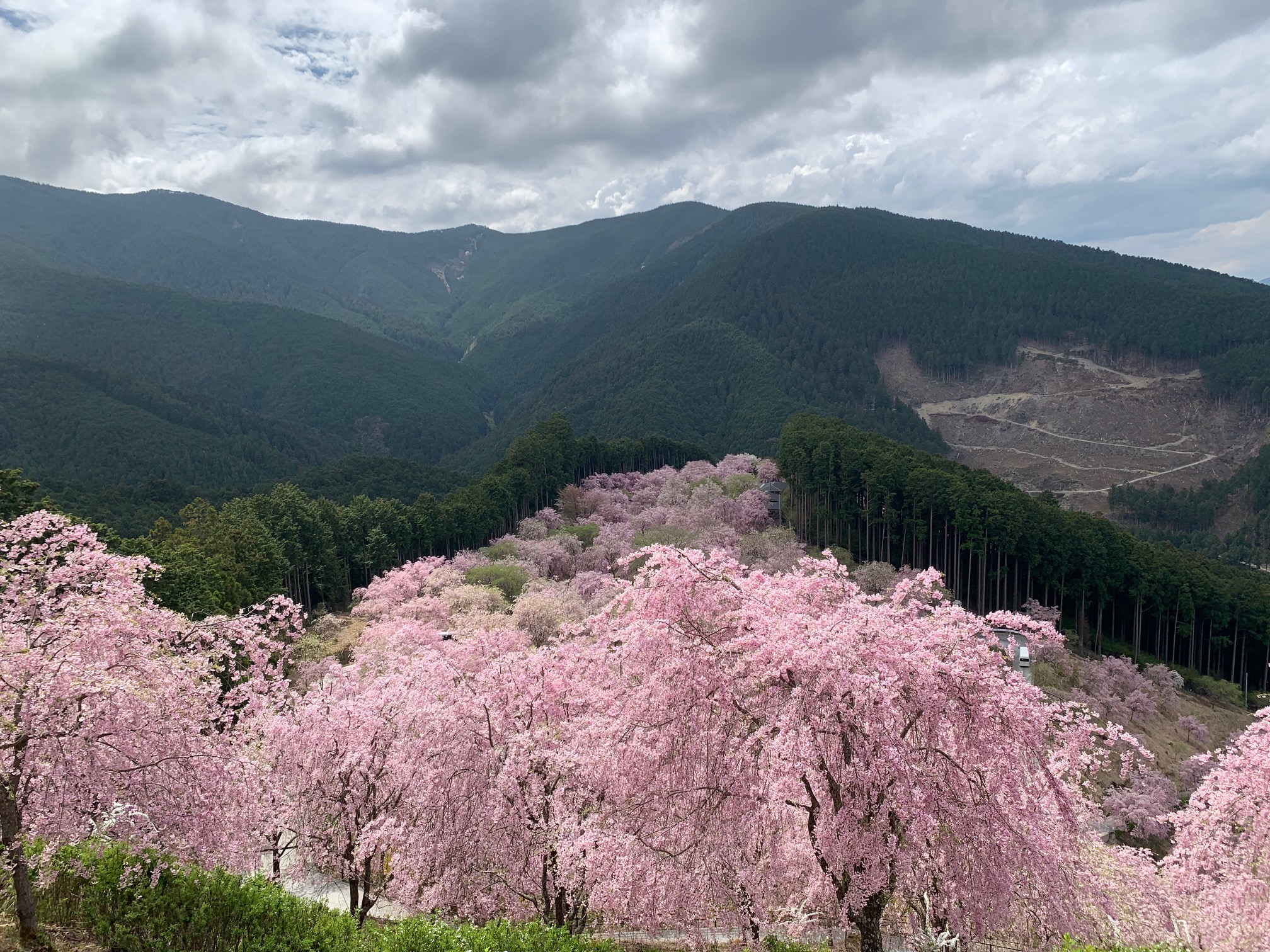 【周辺観光】高見の郷