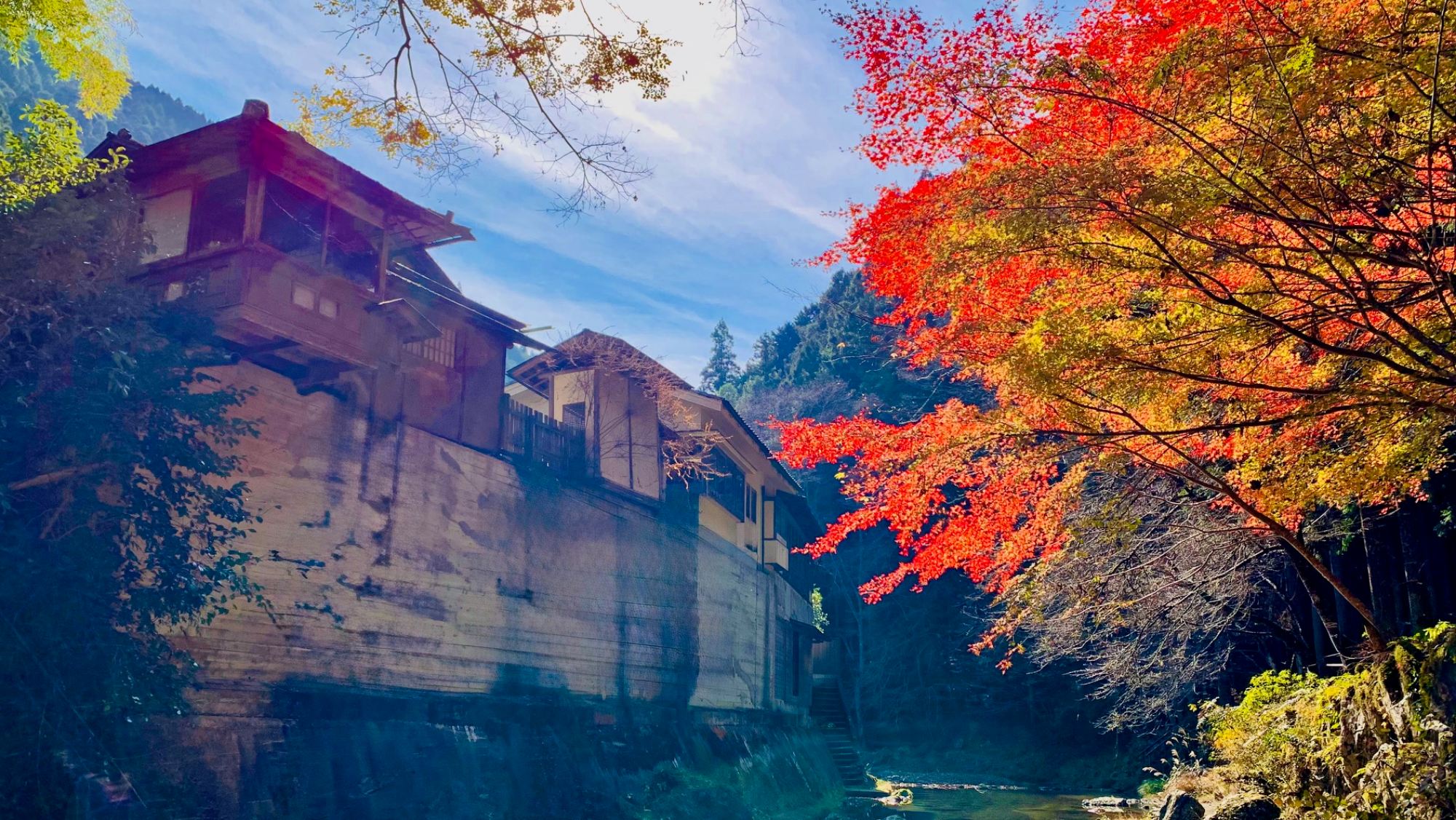 彩り映える秋の庭園美