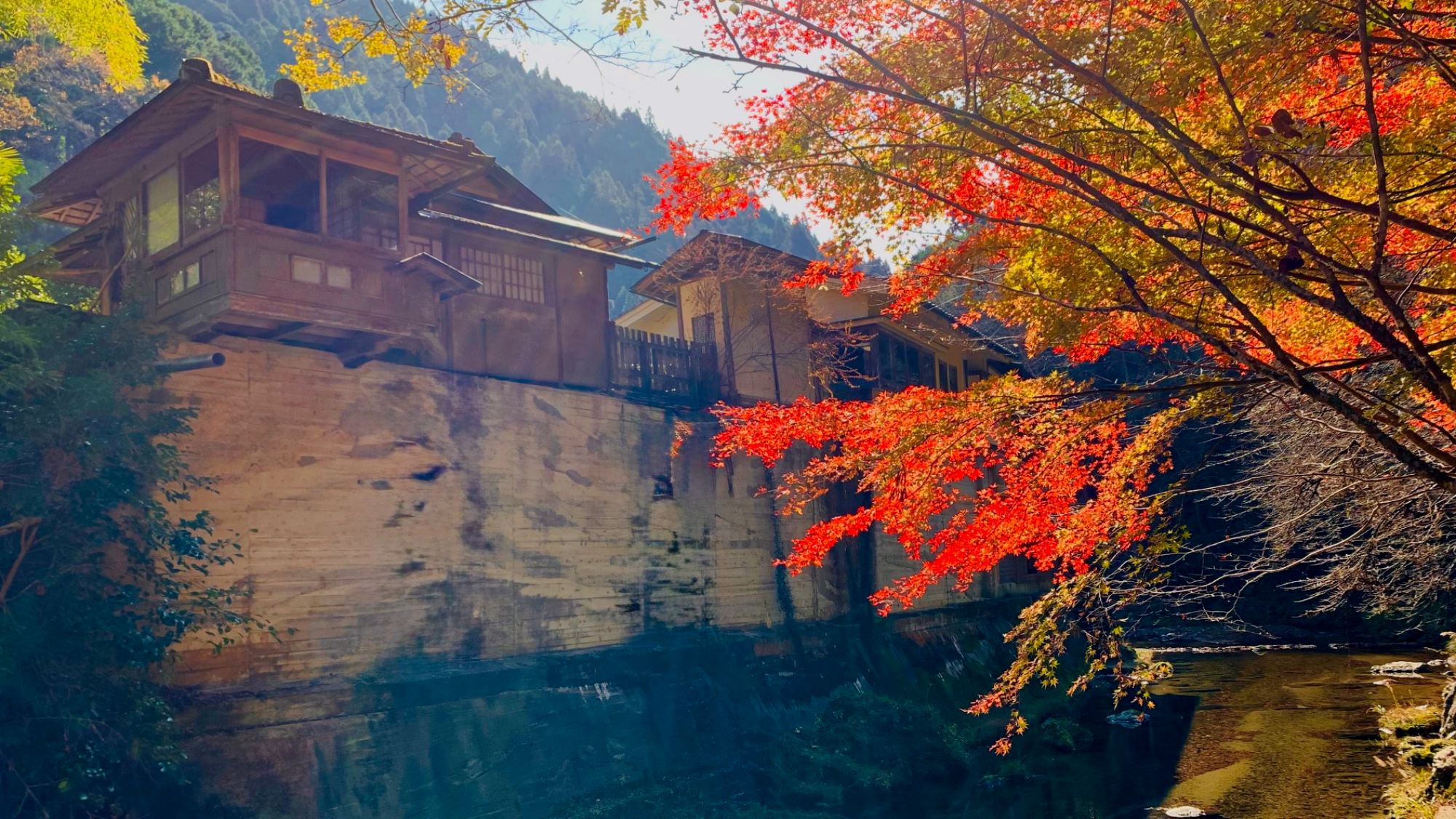 彩り映える秋の庭園美