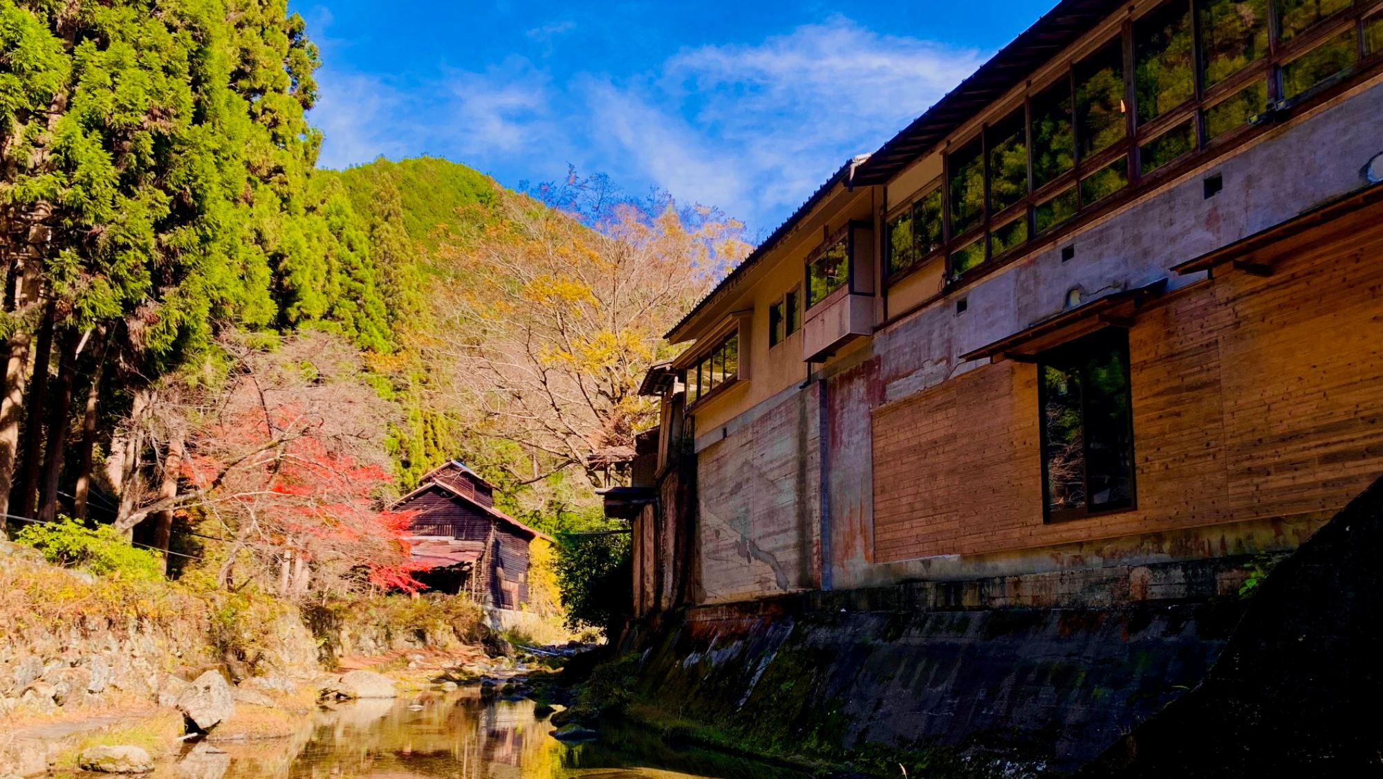 彩り映える秋の庭園美