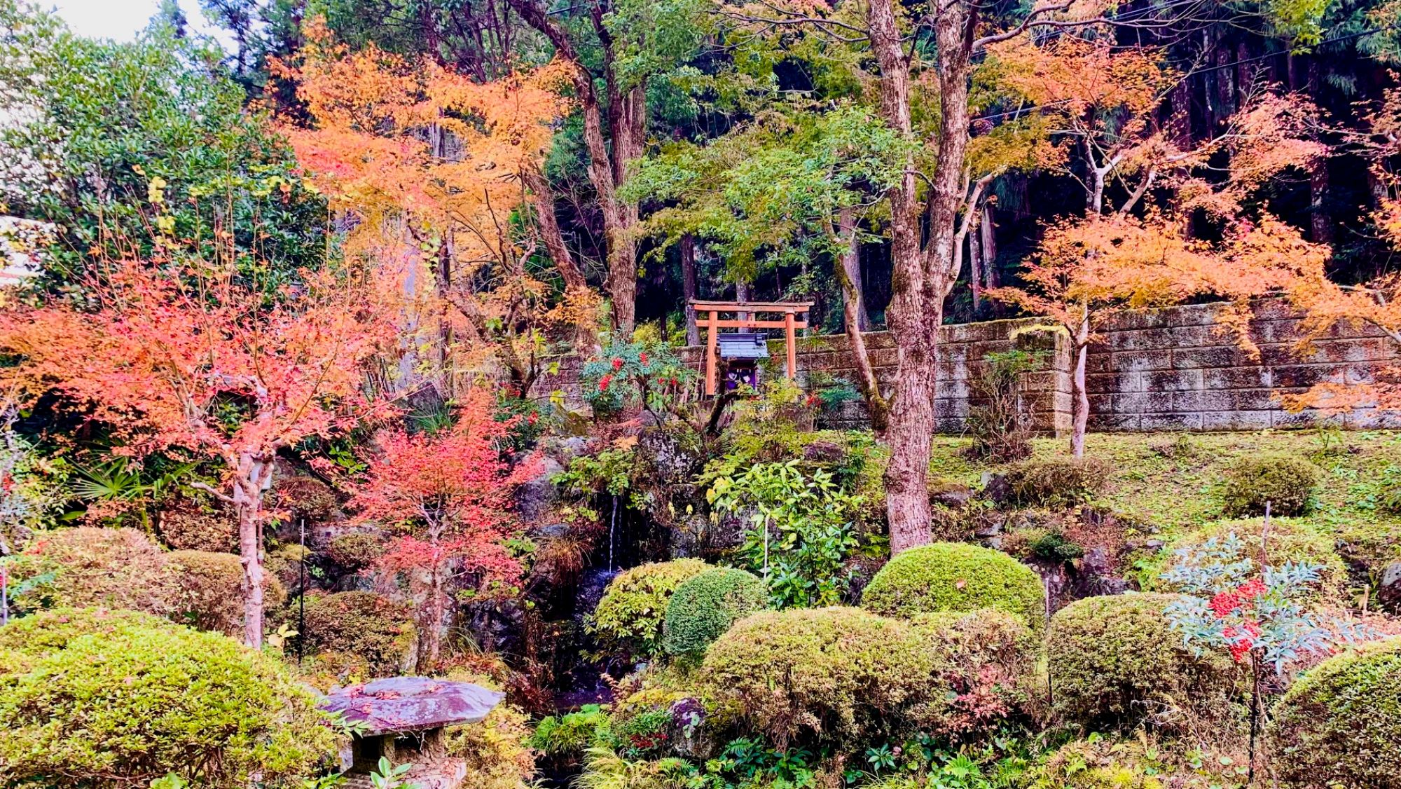 彩り映える秋の庭園美