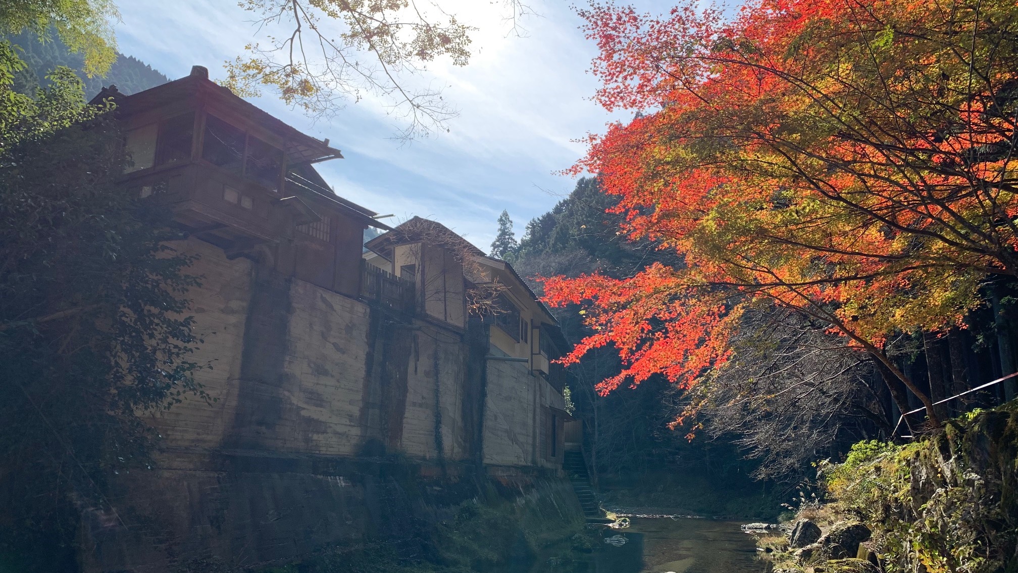 *【敷地内】敷地を流れる鷲家川と紅葉