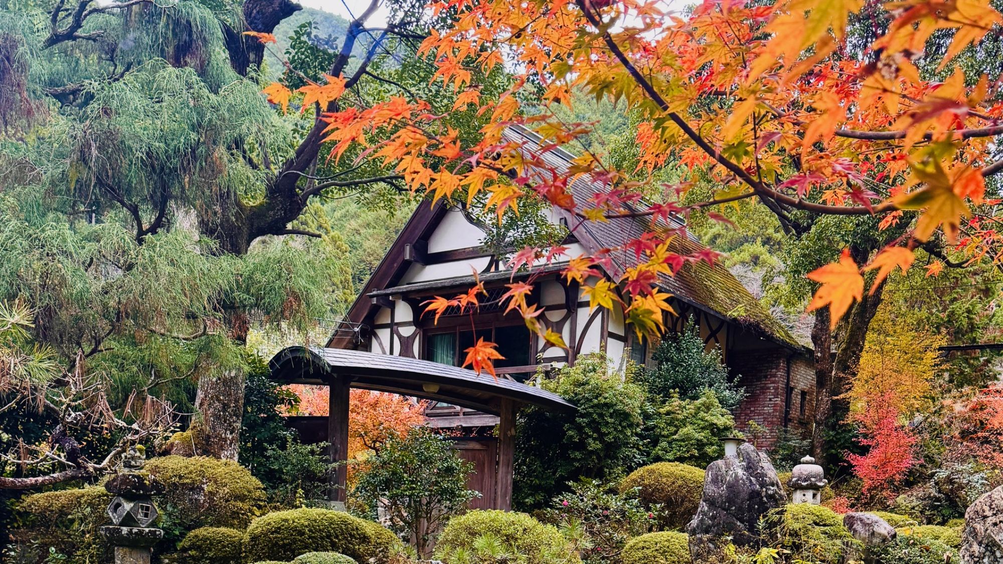 彩り映える秋の庭園美