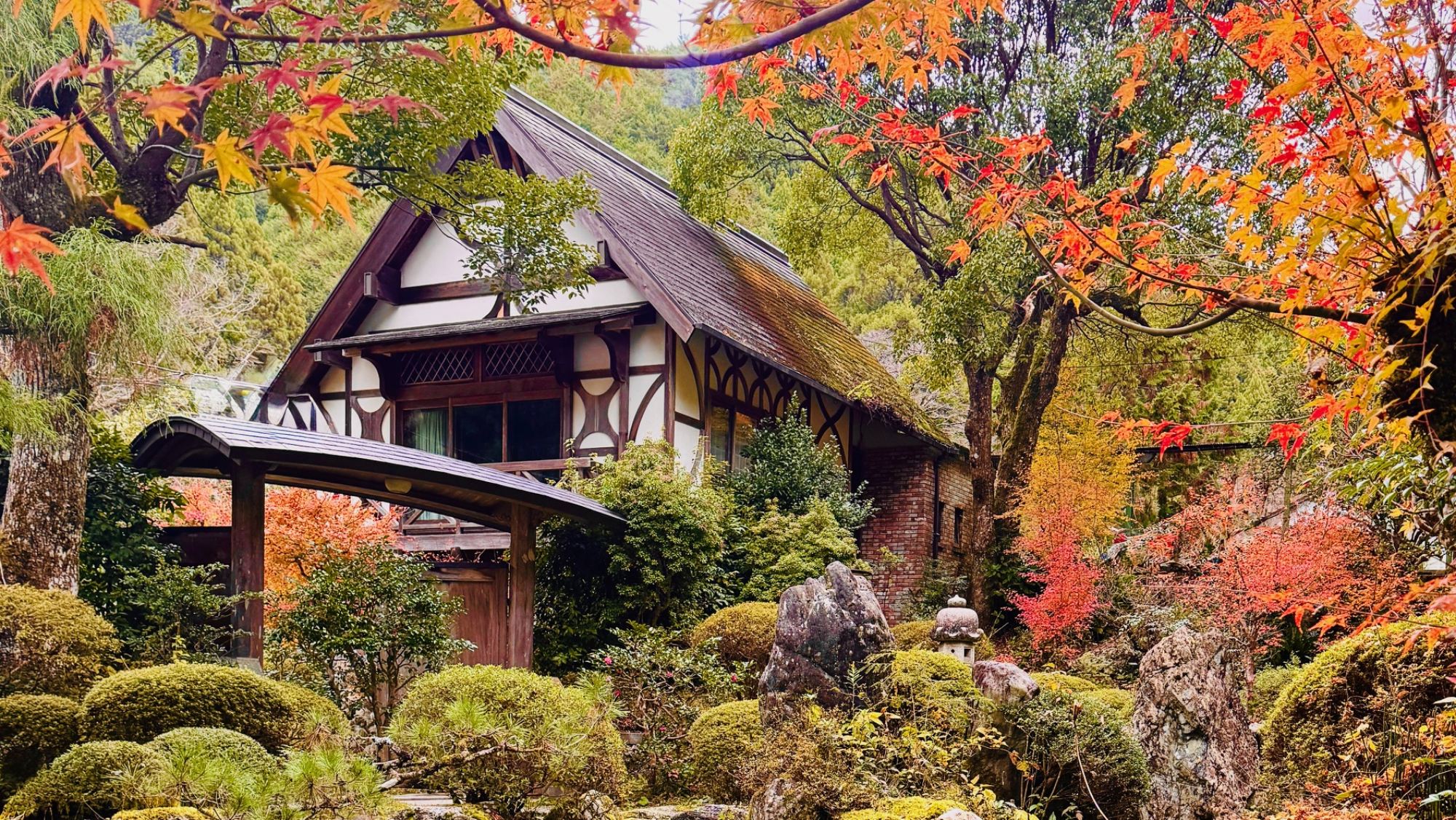 彩り映える秋の庭園美