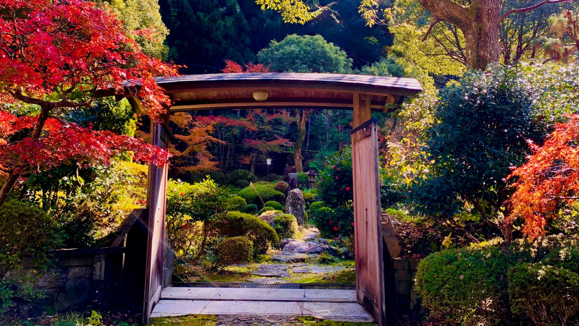 彩り映える秋の庭園美