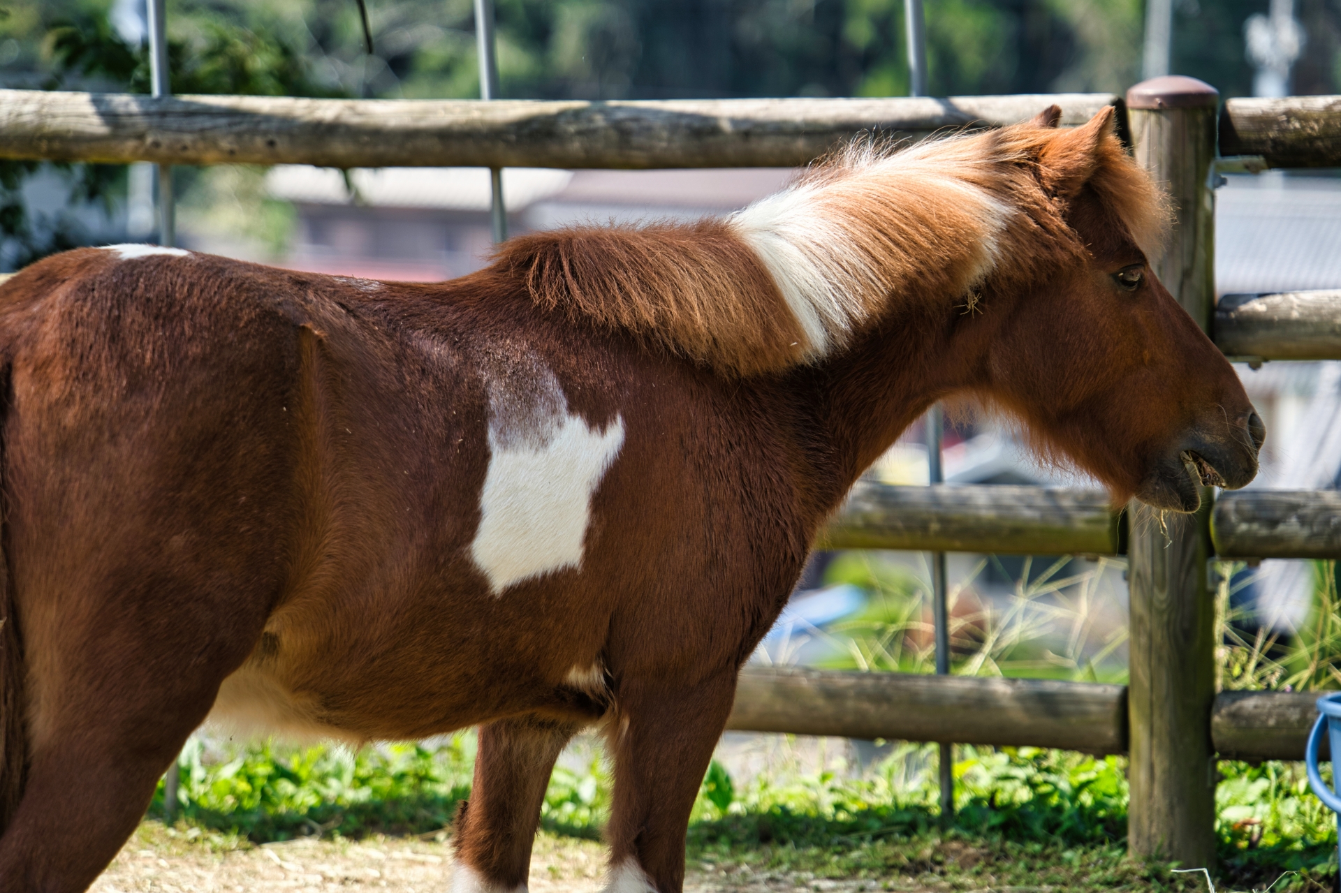 うだ・アニマルパークで楽しい思い出つくり★当館より車で約20分