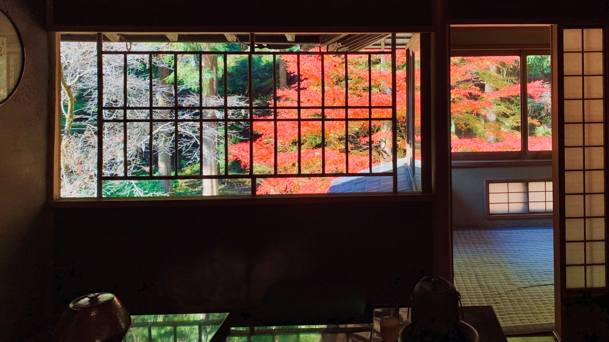 彩り映える秋の庭園美