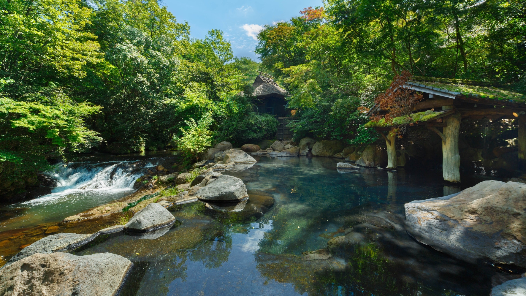 【シャンパン付】大切な方と過ごす特別なひとときプラン