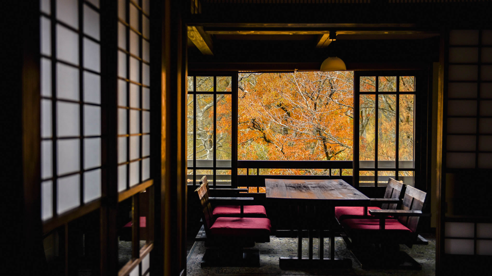 客室に差し込む、もみじ色の景色