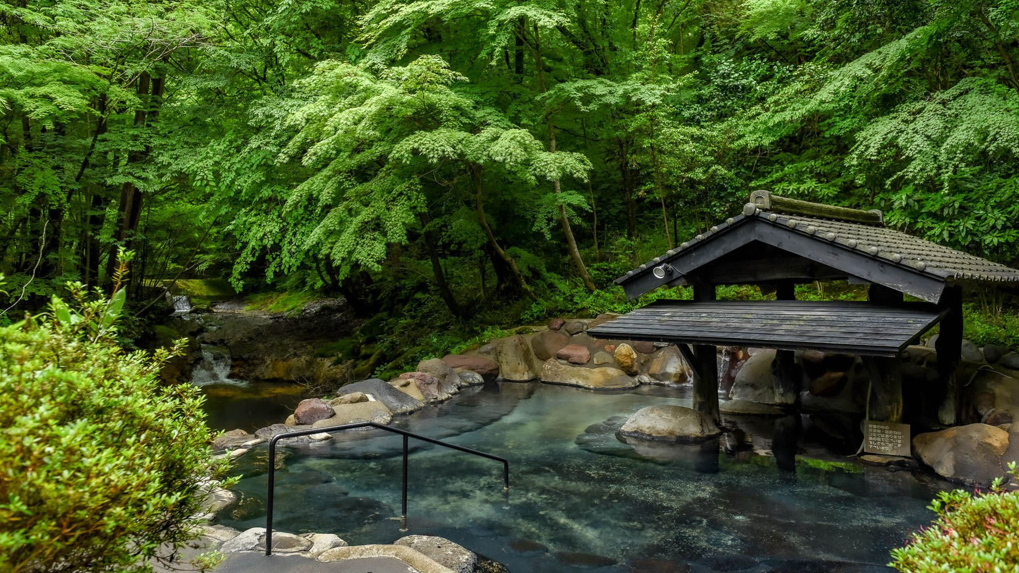 深緑｜森の湯（女性専用露天風呂）