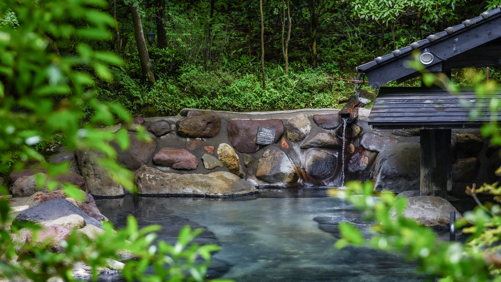 深緑｜森の湯（女性専用露天風呂）