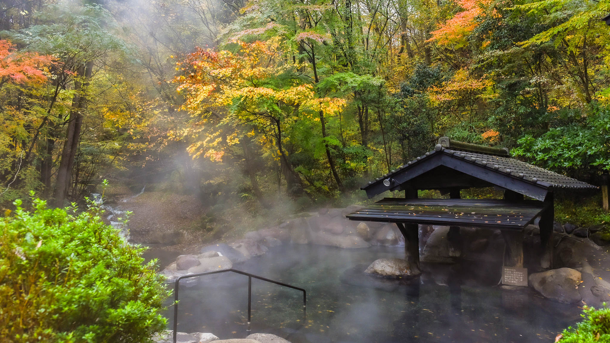 紅葉｜森の湯（女性専用露天風呂）