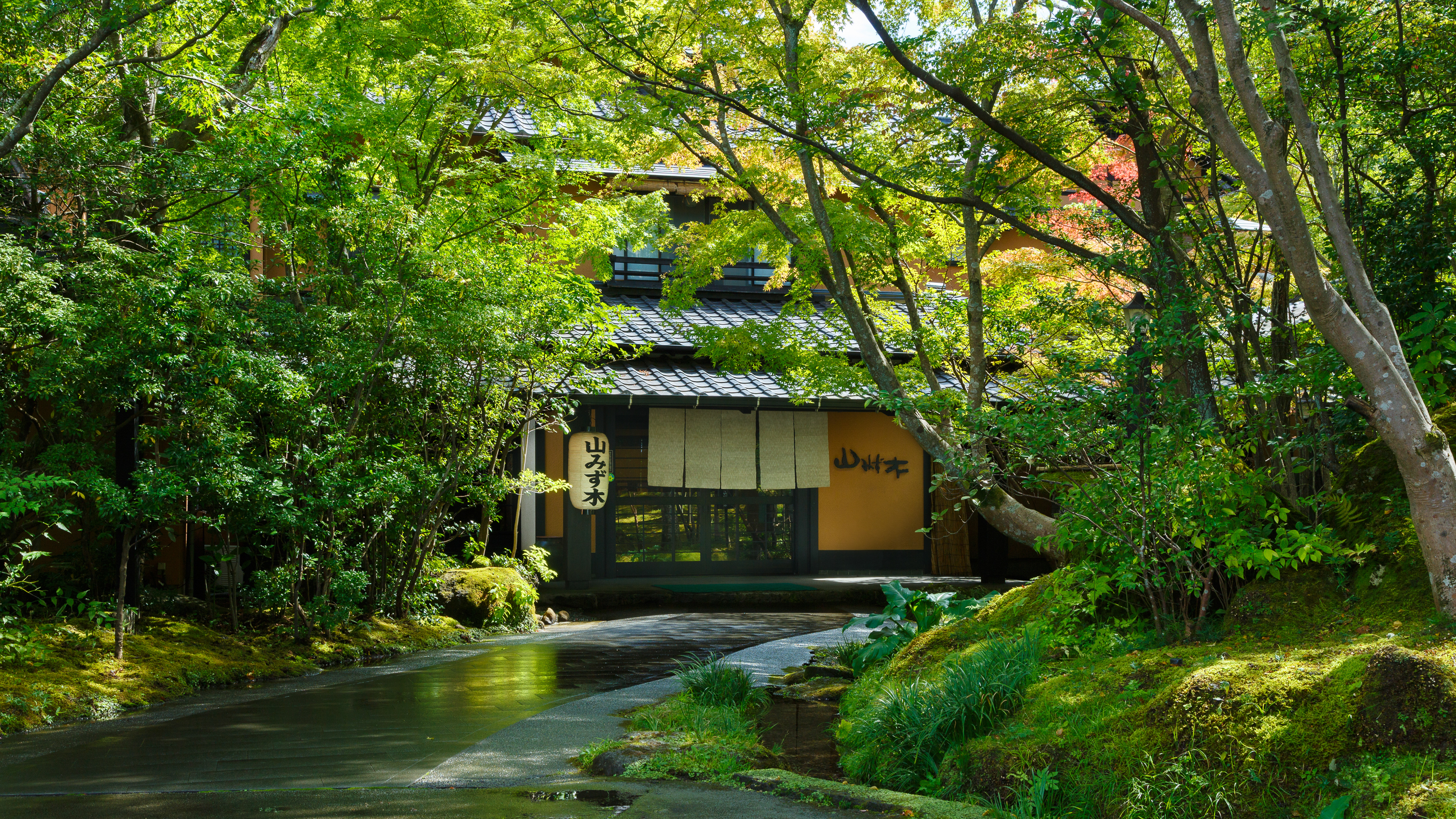 新緑に息づく、春夏の玄関