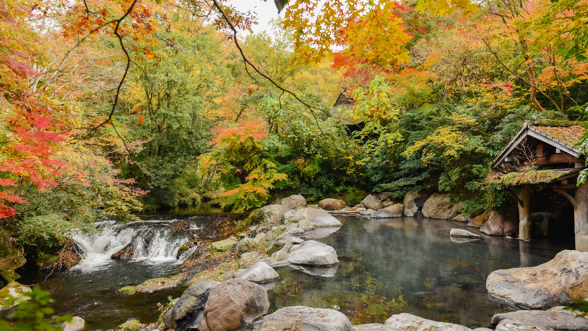 紅葉｜幽谷の湯（男性専用露天風呂）