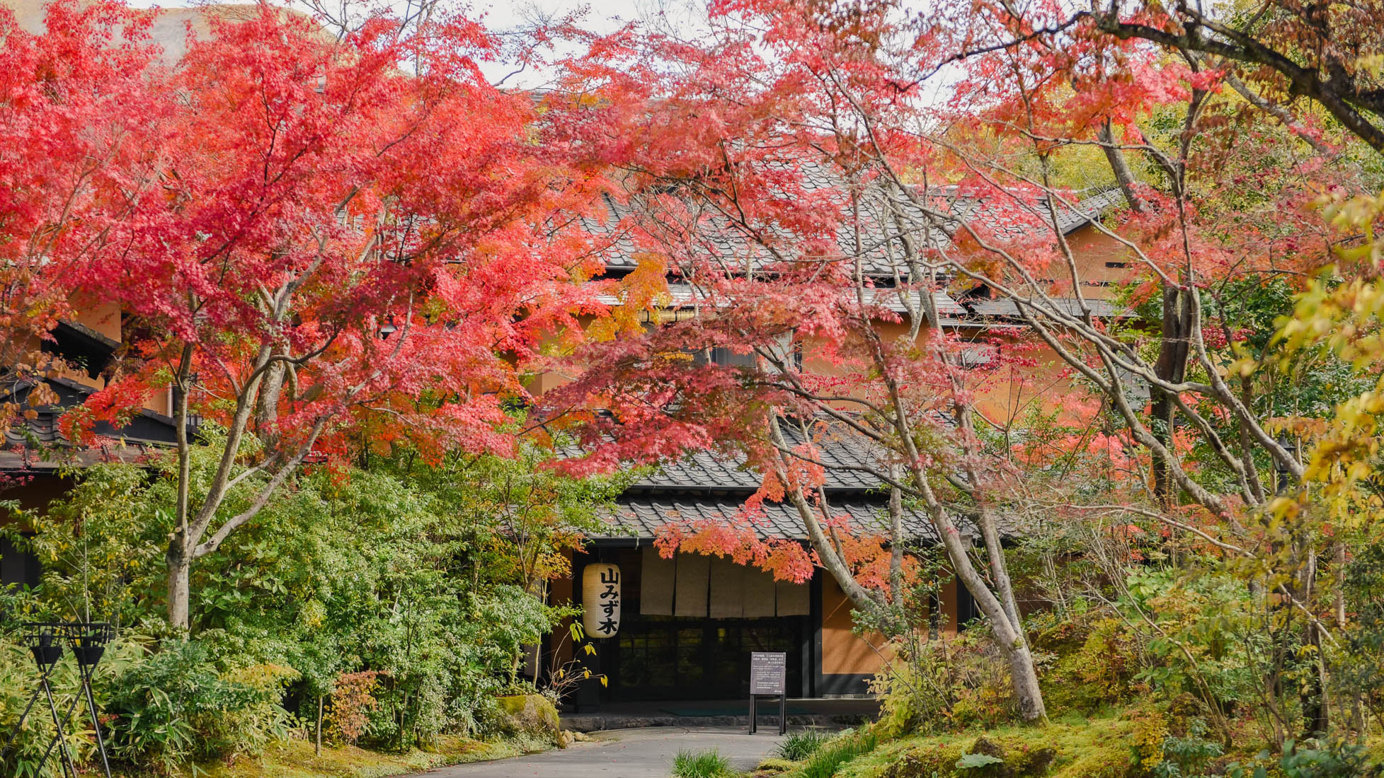 紅葉に包まれる、秋の玄関