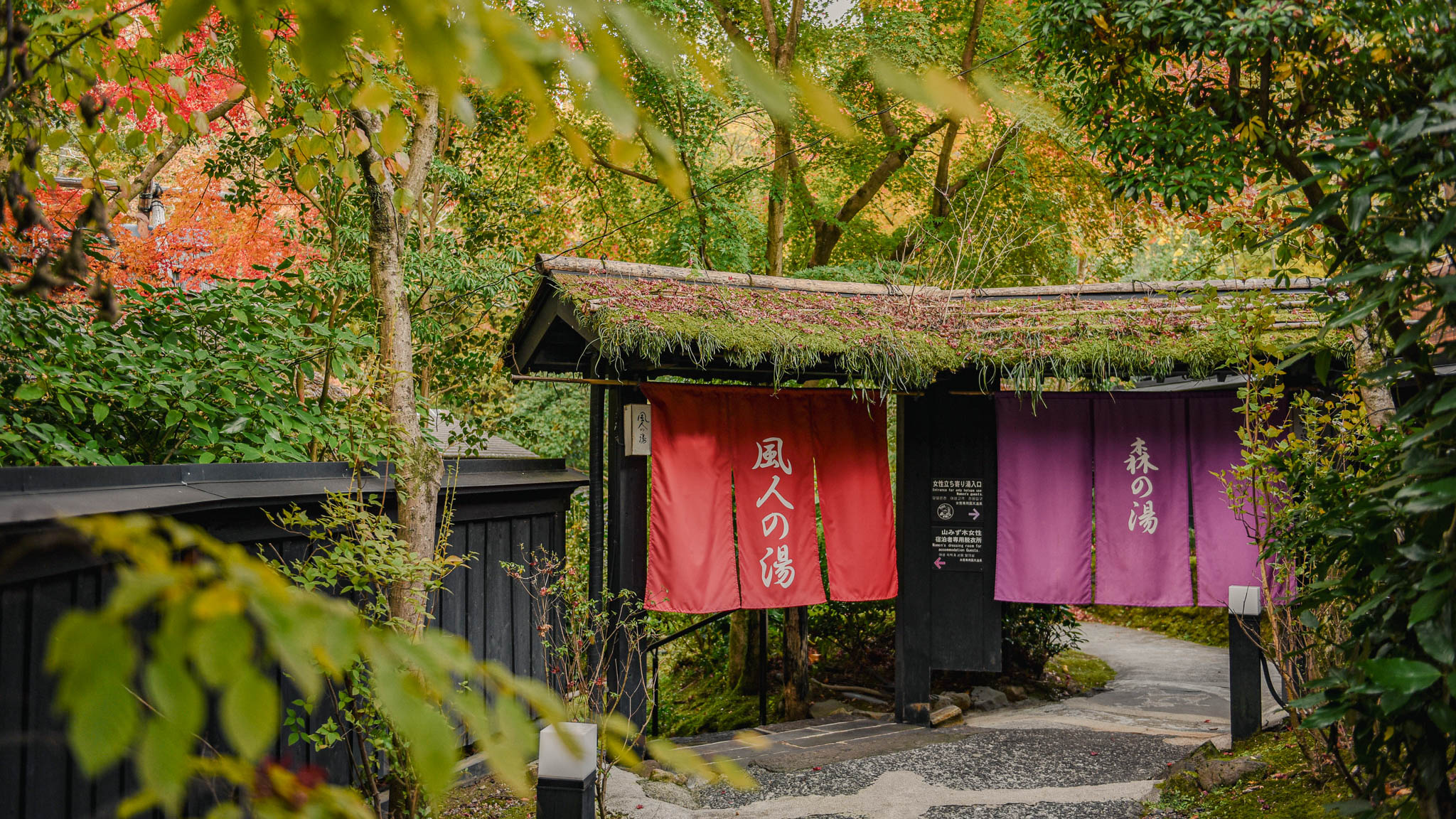 晩秋｜露天・内湯への入口