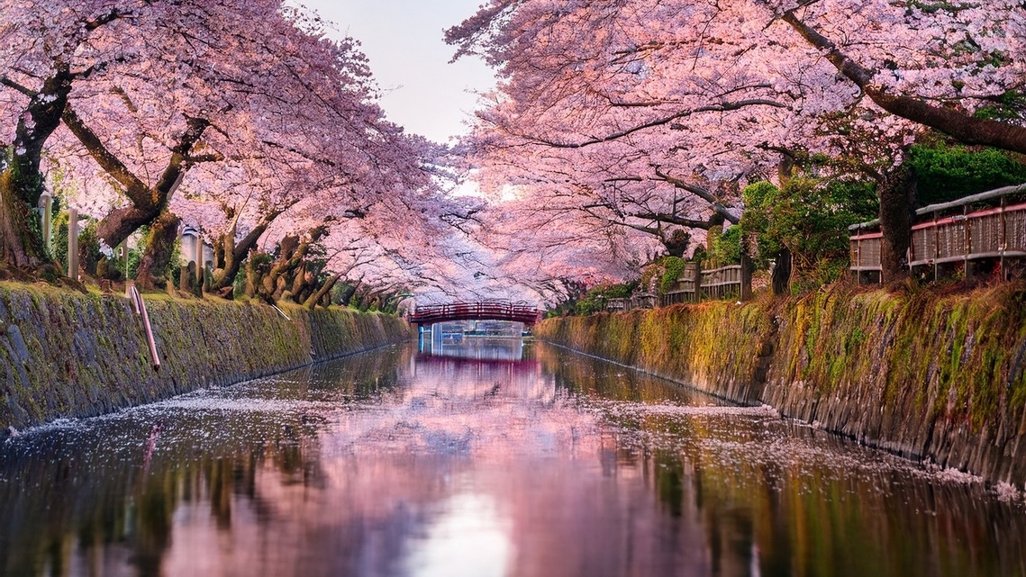 【月末スペシャルオファー】新客室も新登場！春陽の京都街巡り拠点ステイ  -食事なし-