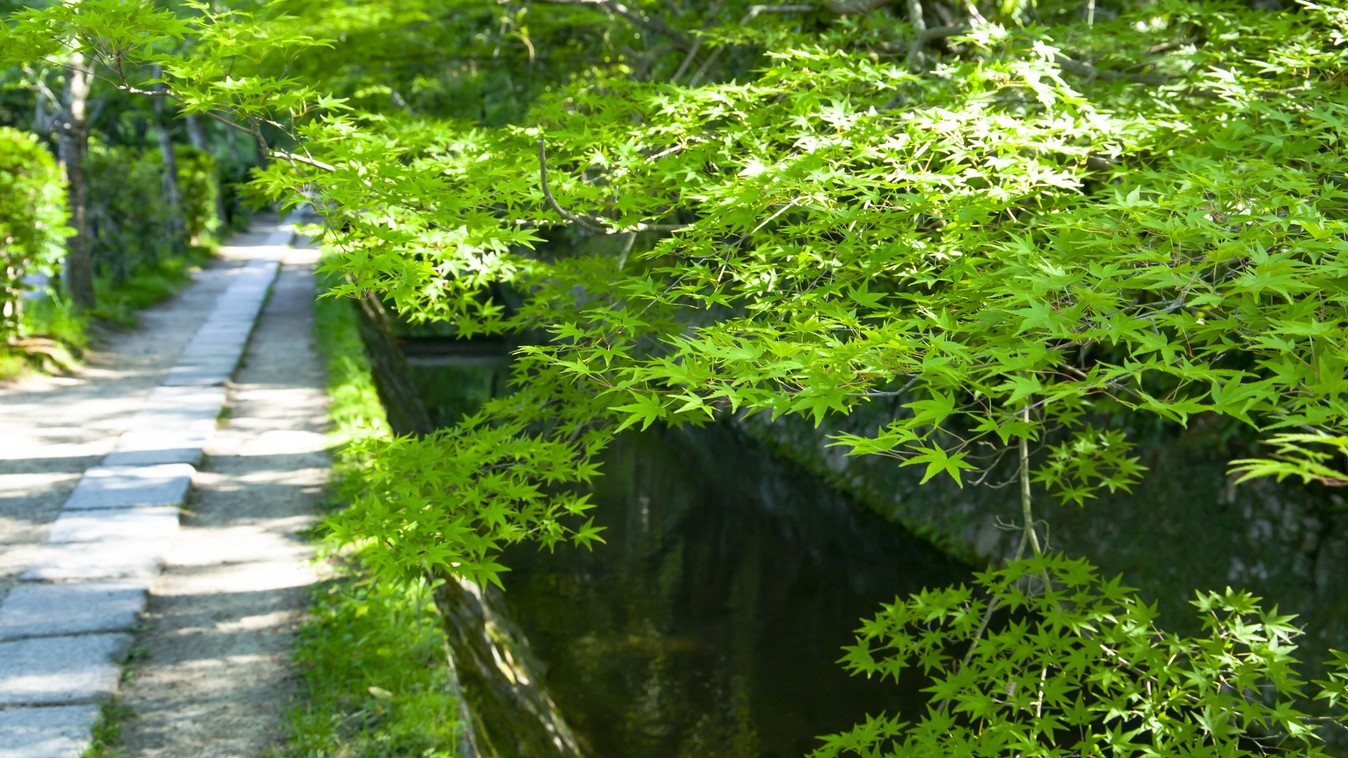 【楽天月末セール★ポイント10倍★】新緑美しい初夏の京都旅へ -食事なし- 