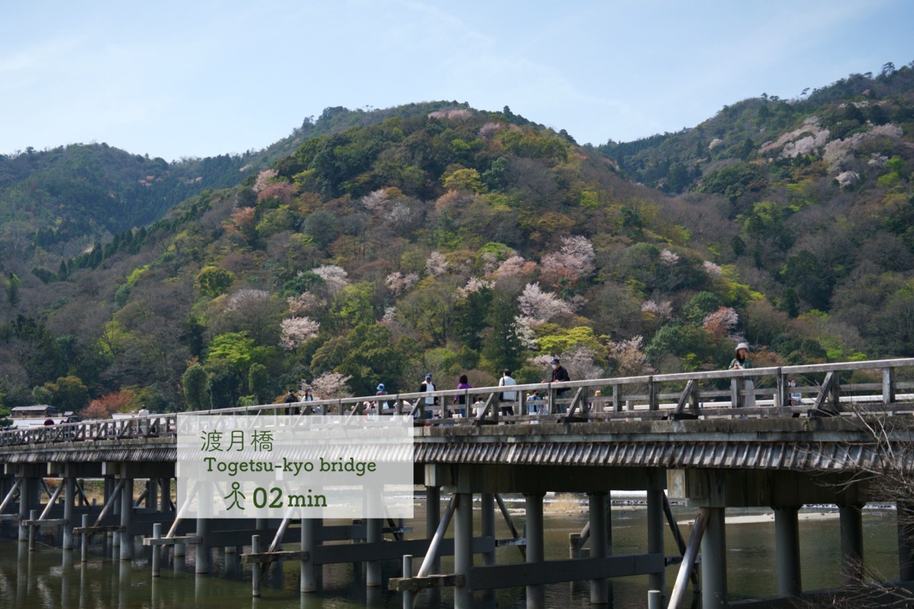 【基本プラン】嵯峨嵐山駅まで徒歩約2分！小さなゲストハウスでマイペースな京都ステイ