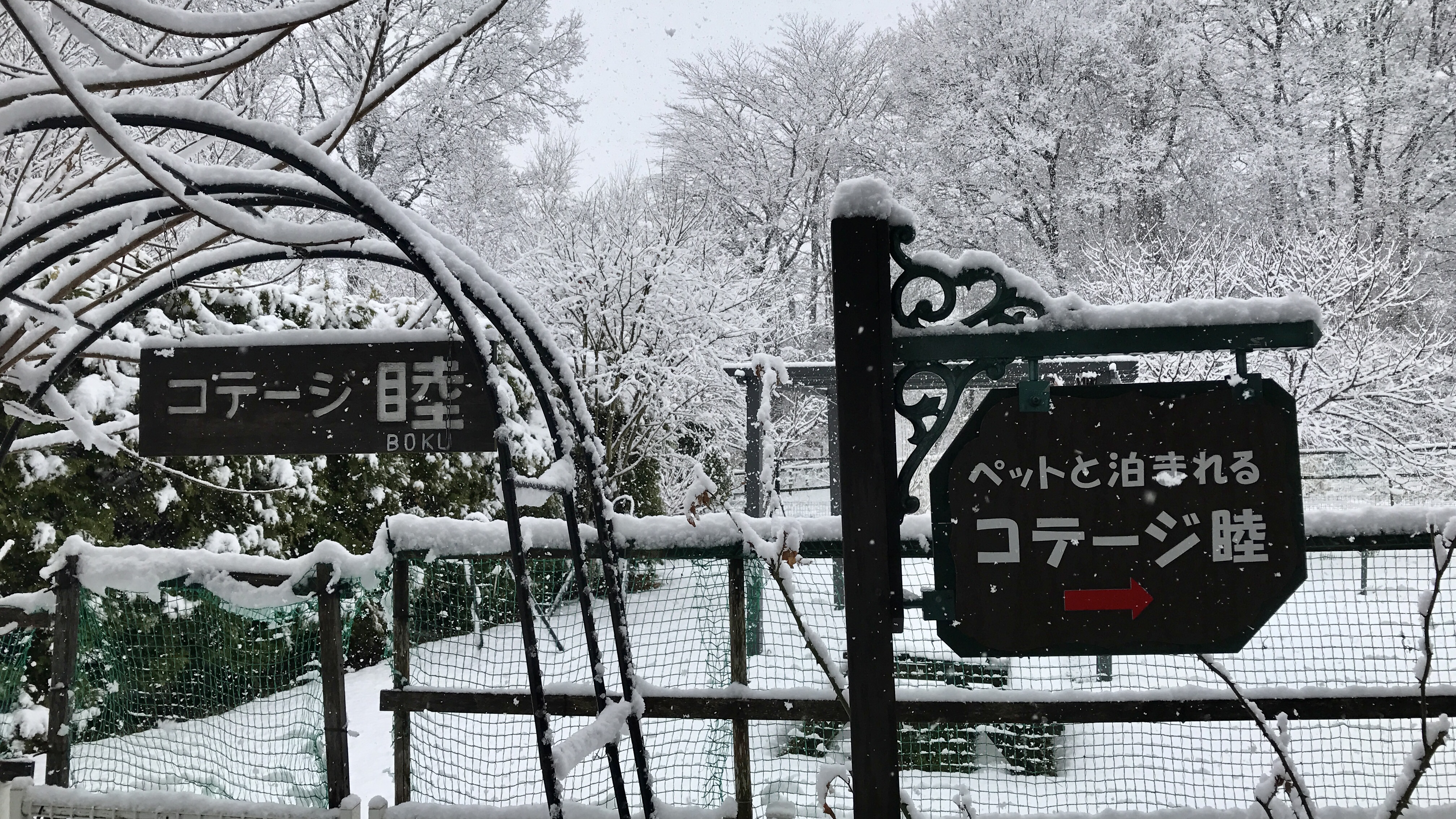 雪遊びできますよ～