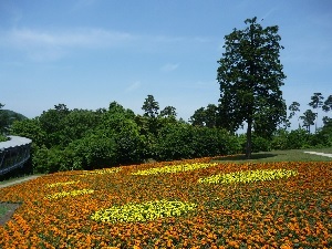 水玉模様の花の丘