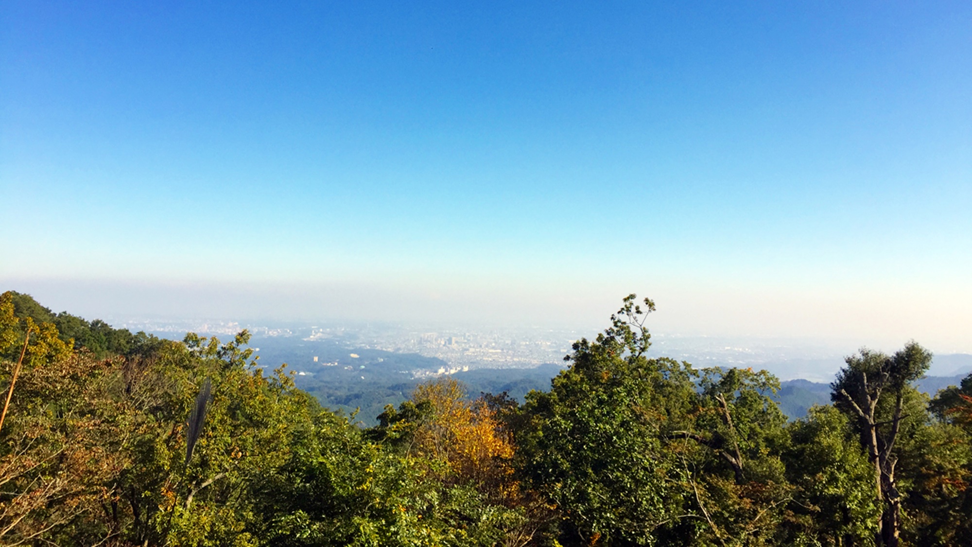 *【高尾山】山頂から望む景色。お天気が良ければ東京の街並みが目の前に広がります。