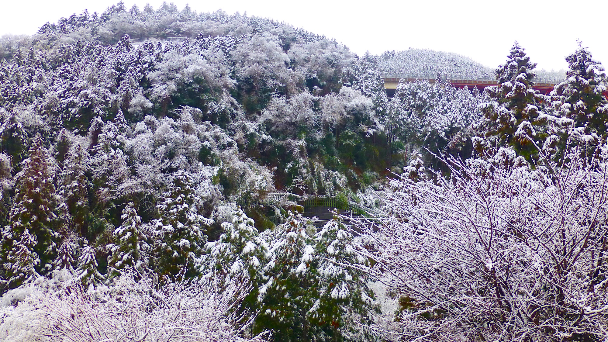 *【お部屋からの景色／冬】雪が降ると水墨画のような景色をご覧いただけます。