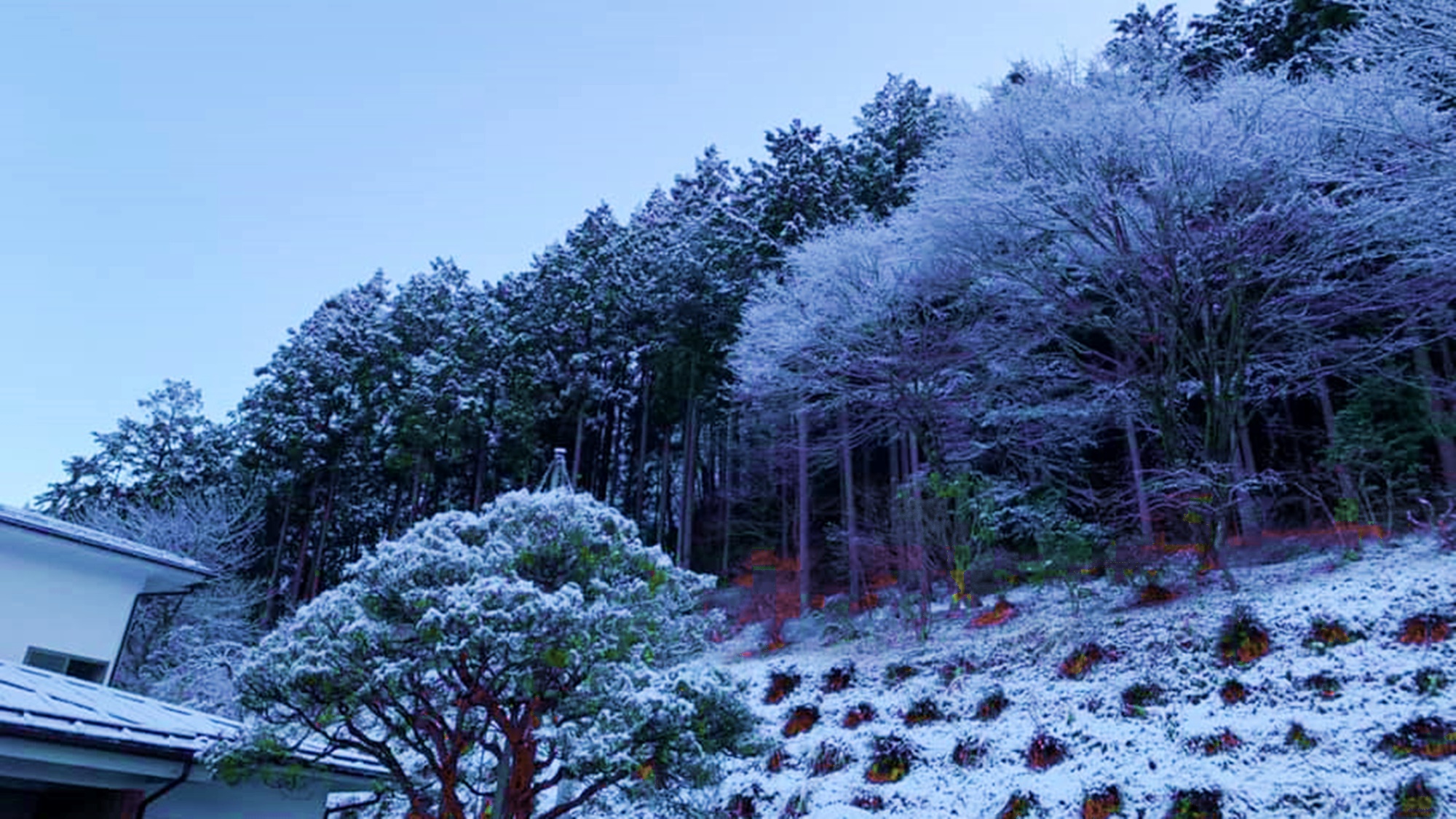 *【周辺景観_冬】雪が積もった際は、一面で雪景色をご覧いただけます。