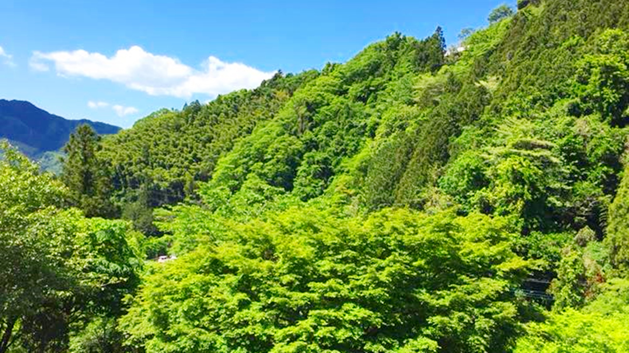 *【周辺景観_夏】新緑の季節は周辺の山々から気持ちの良い風が吹いてきます。
