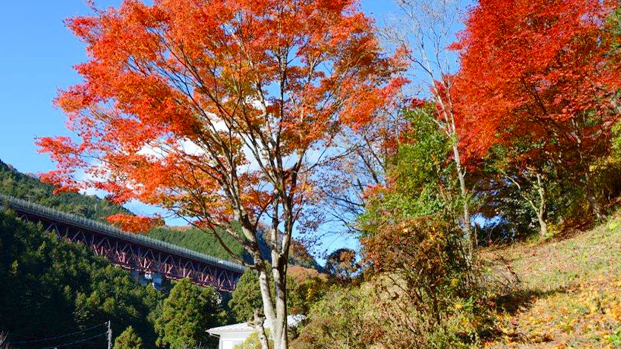 *【周辺景観_秋】山々に囲まれた当館周辺では、燃えるような美しい紅葉が見られます。