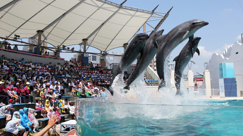 ◆須磨海浜水族園