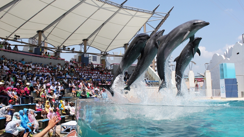 ◆食事なしプラン(Room Only) ※Marriott Bonvoy会員価格対象プラン