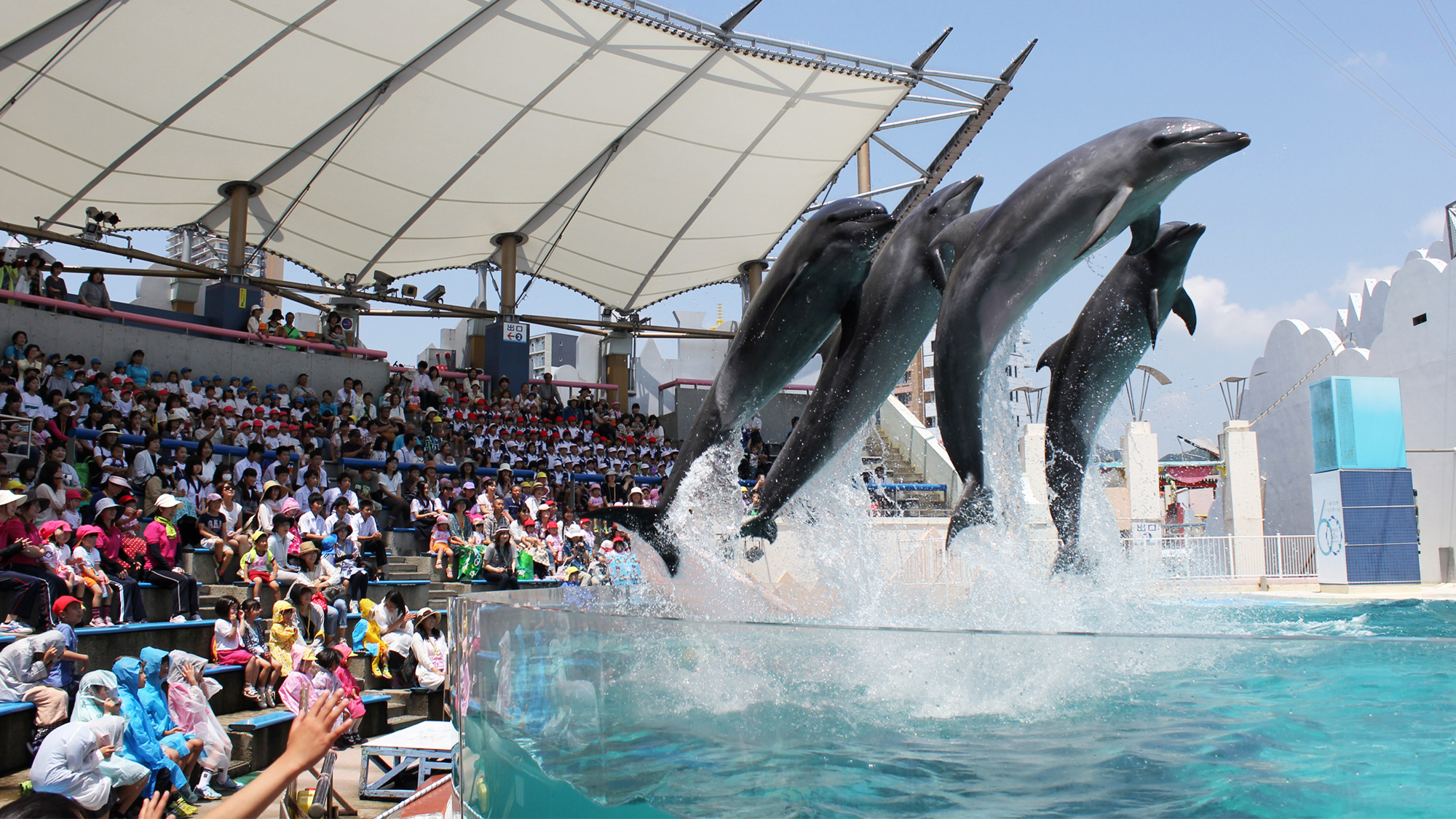 ◆須磨海浜水族園