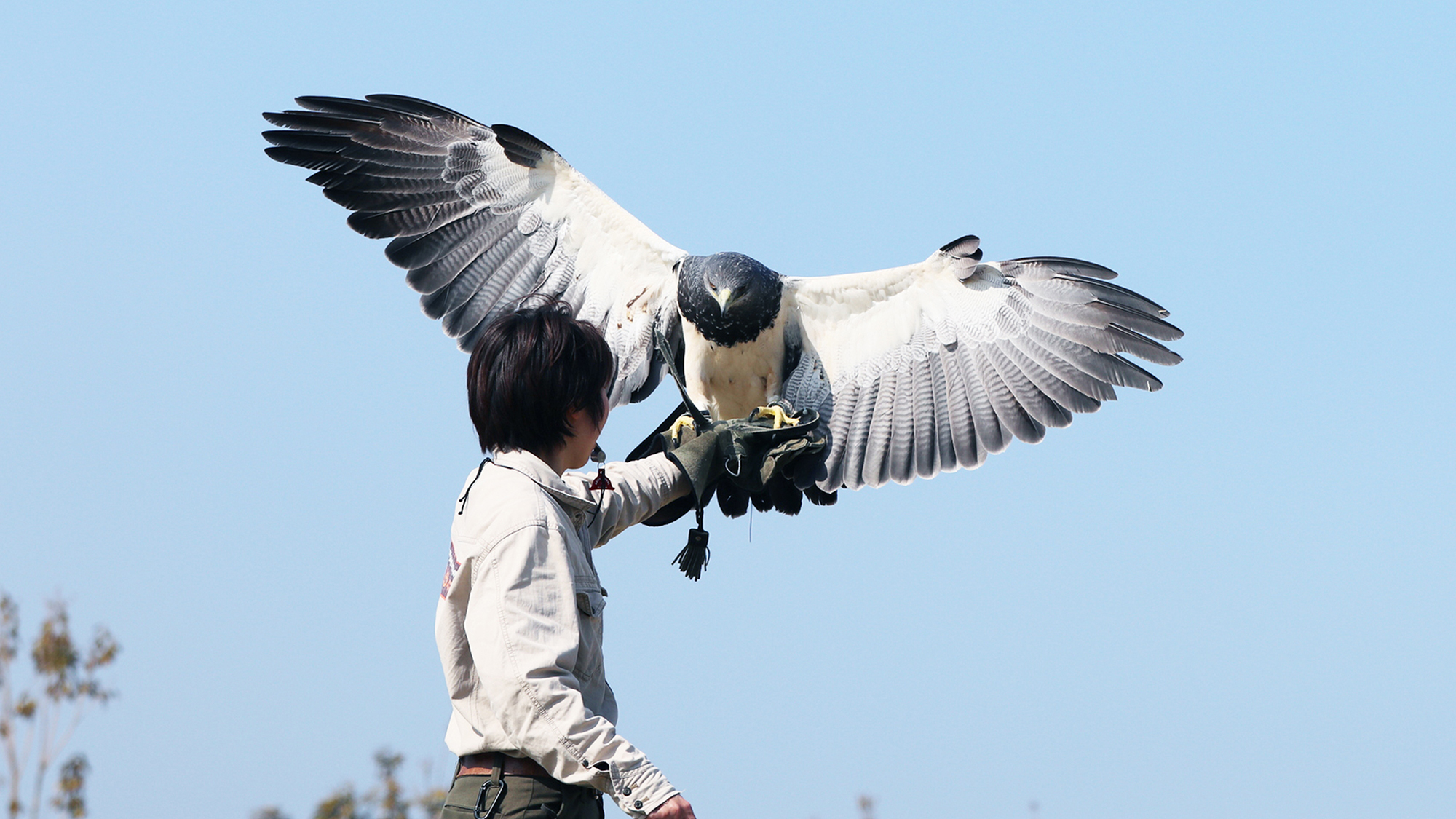 ◆神戸どうぶつ王国