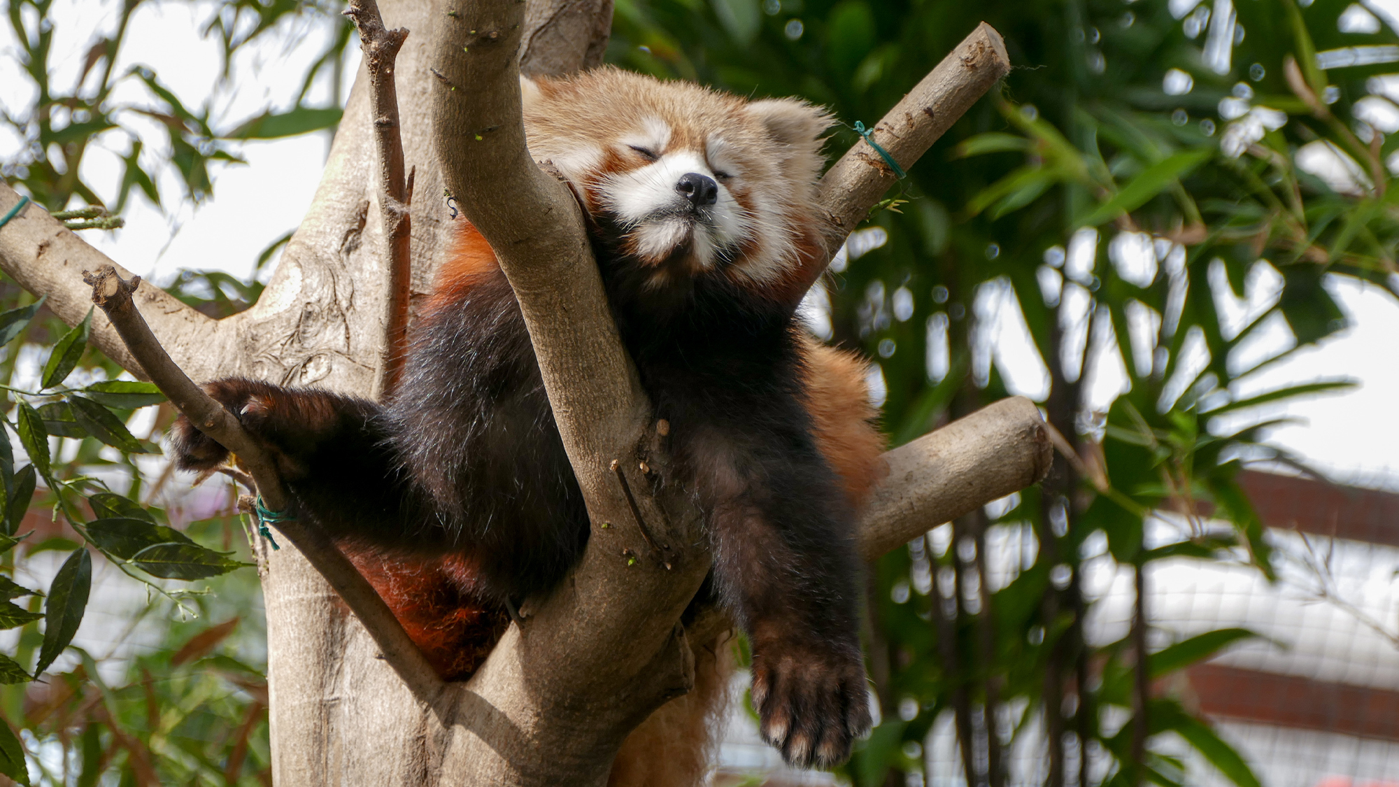 ◆神戸どうぶつ王国