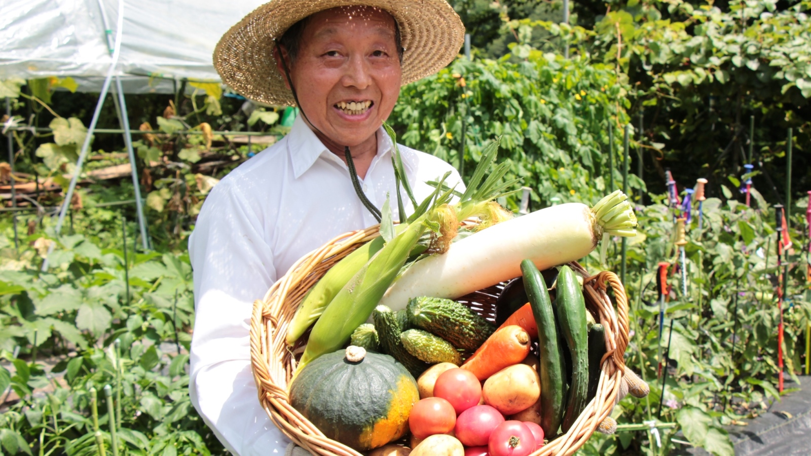 ■旦那と収穫した野菜
