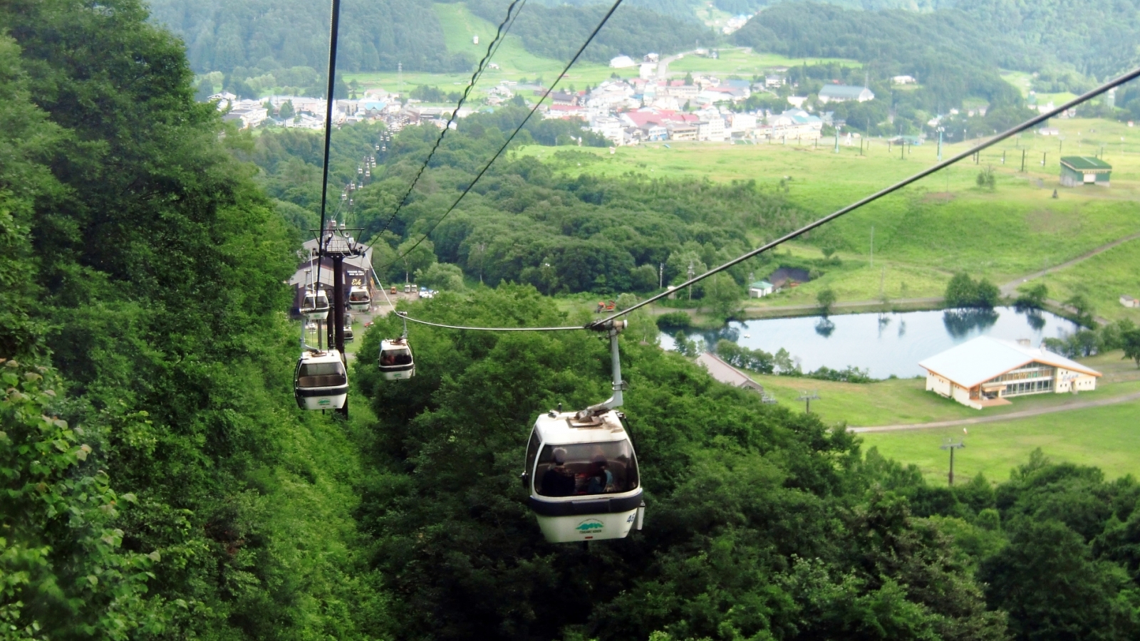 栂池自然園ゴンドラ。美しい高山植物を見に行きませんか？