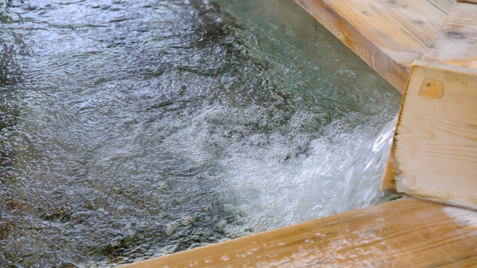 【当日限定】人気の朝食付きプランが通常価格より1，000円引き！お得な機会をお見逃しなく！