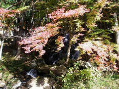 秋・紅葉と不動滝