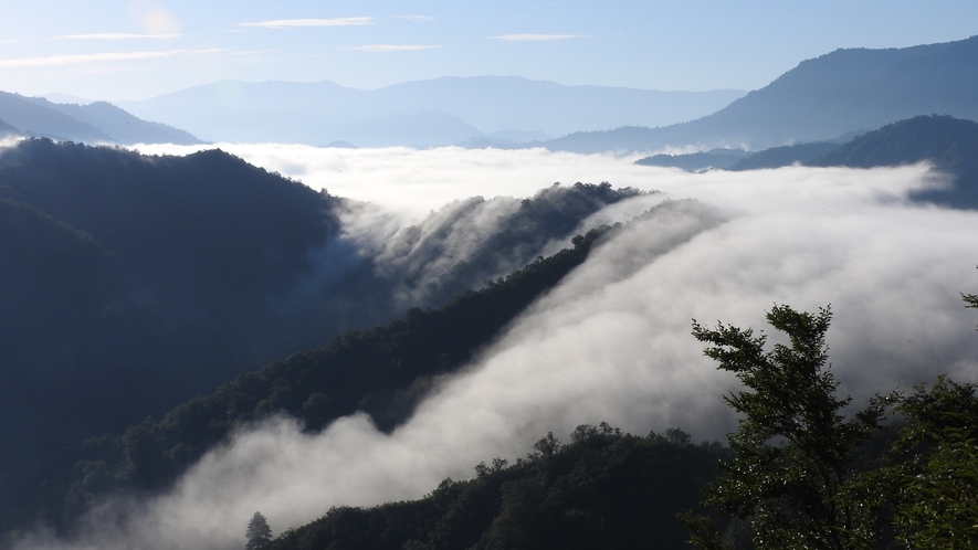 *枝折峠頂上から銀山湖に浮かぶ雲が滝のように流れる「滝雲」