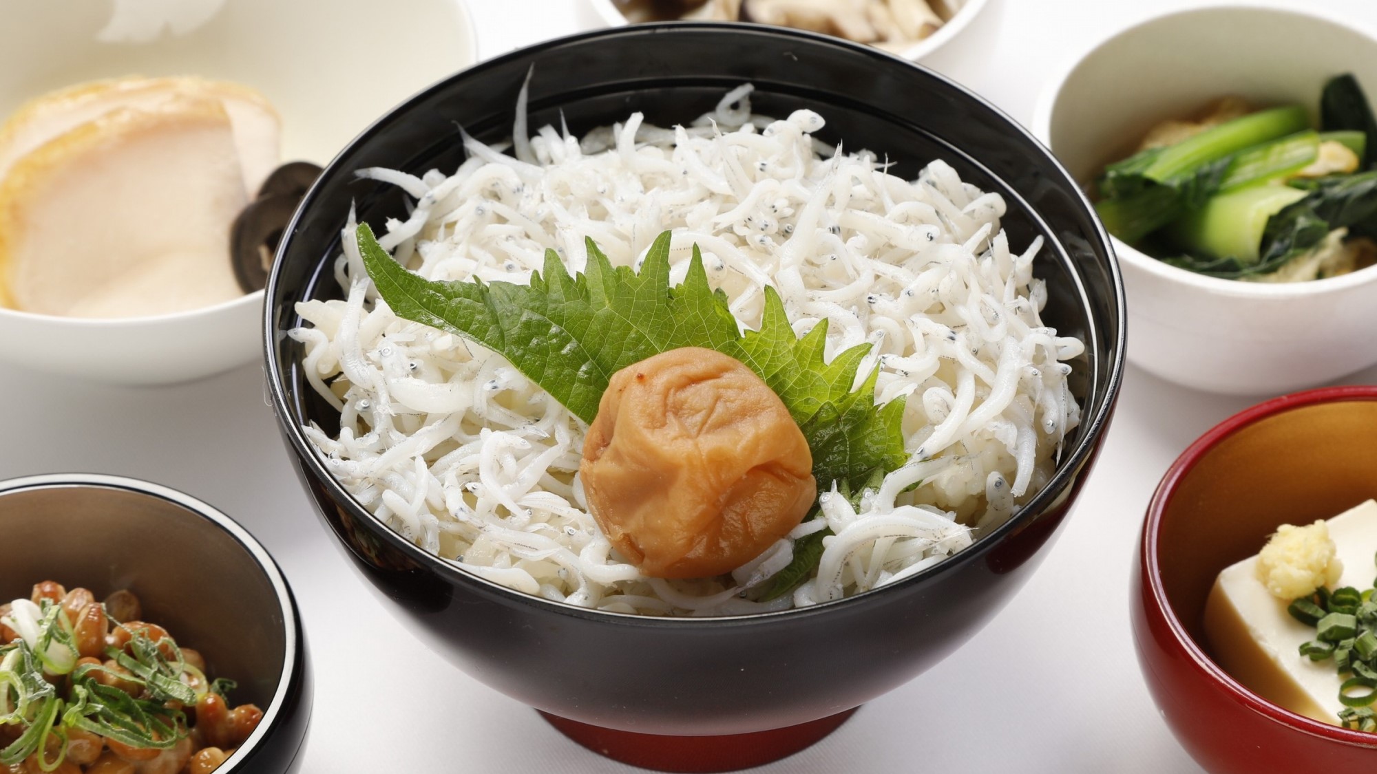 ◆和歌山ご当地メニュー　梅しらす丼