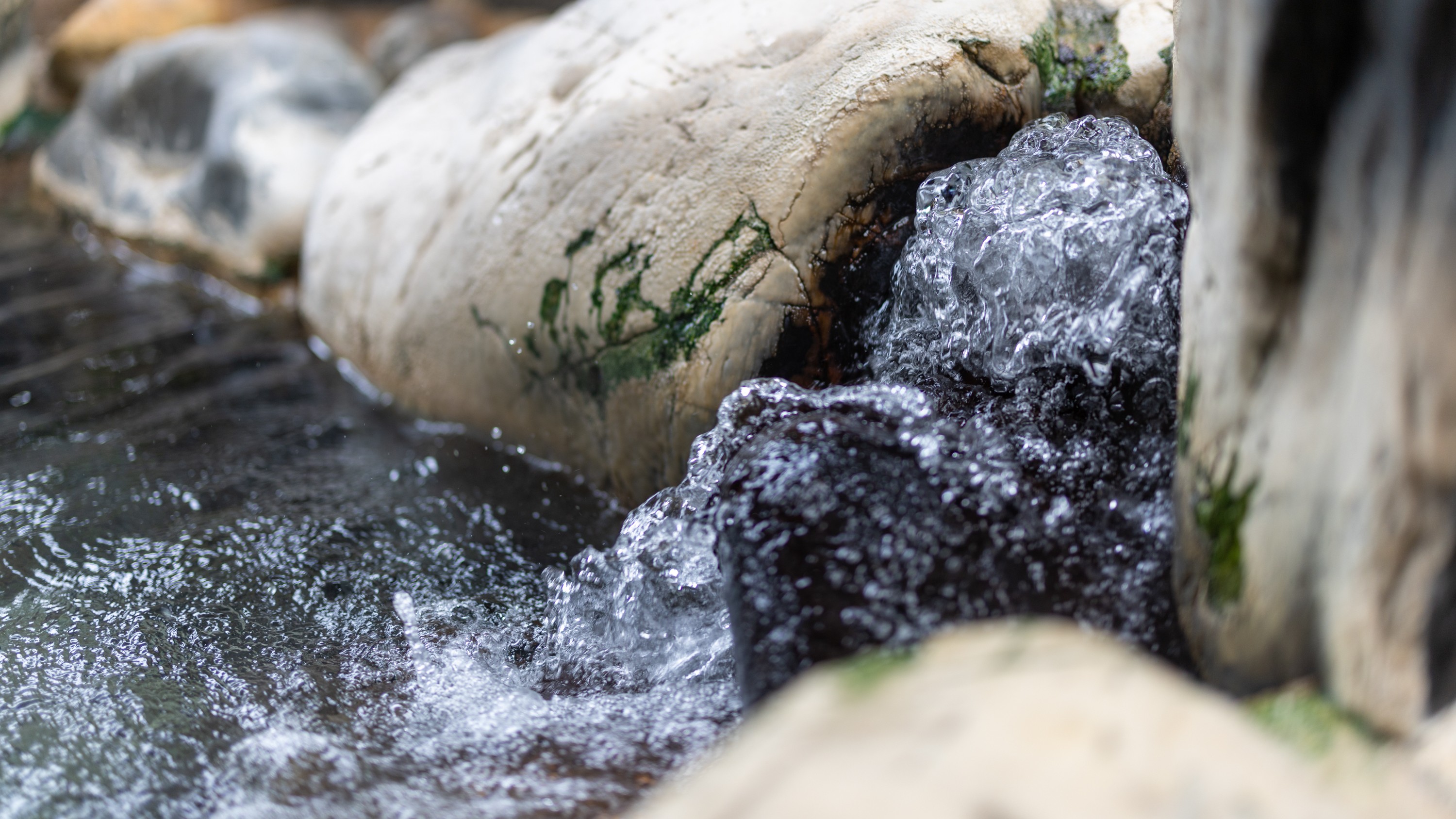 【大浴場】「殿の湯」露天風呂：温泉湯口