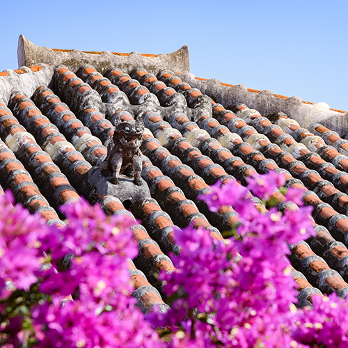 竹富島の宿泊施設ランキングbest5 ベビー キッズと行ける観光地 竹富島の宿泊施設ランキングbest5 ベビー キッズと行ける観光地